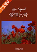 《爱情讯号》封面