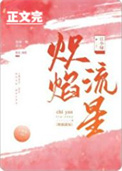 《炽焰流星》封面