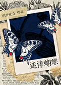 《迷津蝴蝶》封面