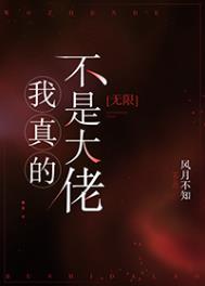 《我真的不是大佬[无限]》封面