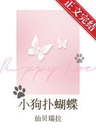 《小狗扑蝴蝶》封面
