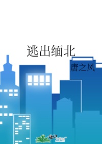 《逃出缅北》封面