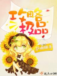 《攻略极品》封面