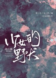 《少女的野犬》封面