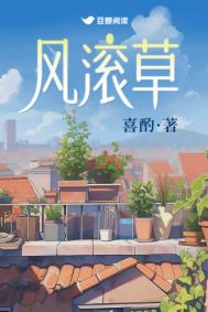 《风滚草》封面