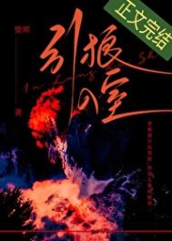 《引狼入室》封面