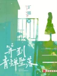 《等到青蝉坠落》封面