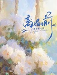 《离婚之前》封面