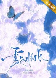 《雾色难抵》封面