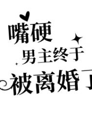 《嘴硬男主终于被离婚了》封面