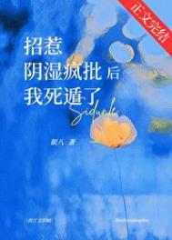 《招惹阴湿疯批后我死遁了》封面