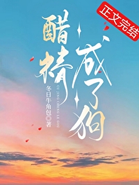 《醋精成了狗》封面