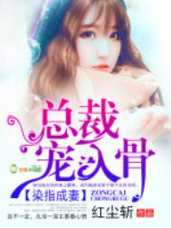 染指成妻:总裁,宠入骨