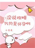 《没说攻略代价是怀孕啊》封面