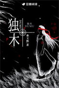 《独木》封面