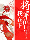 将军在上，我在下封面