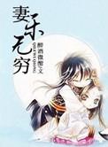 《妻乐无穷》封面