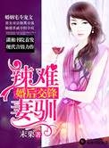 《婚后交锋之辣妻难驯》封面
