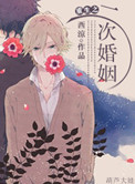 《重生之二次婚姻》封面