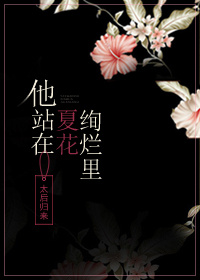 《他站在夏花绚烂里》封面