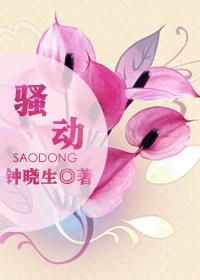 《骚动（你好，前任先生）》封面