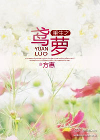 重生之鸢萝封面