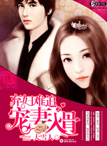 《弃妇难追之宠妻入骨》封面