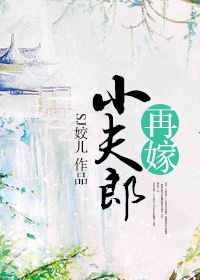 《再嫁小夫郎》封面