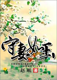 《守妻如玉》封面