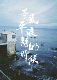 《等风平浪静的时候》封面