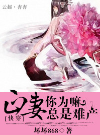 《[快穿]正妻你为嘛总是难产》封面