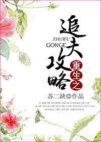 《重生之追夫攻略》封面