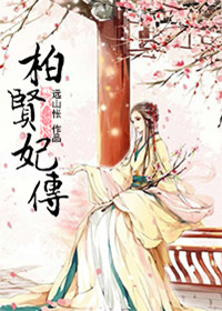 《柏贤妃传》封面