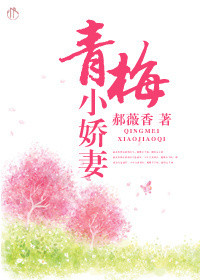 《青梅小娇妻》封面
