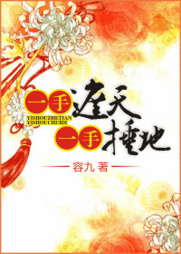 一手捶地，一手遮天封面