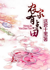 《农家有点田》封面