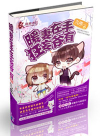 《暖妻在手狂妄爷有》封面