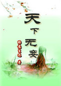 天下无妾封面