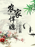 《农家悍媳》封面