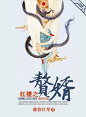 《红楼之赘婿》封面