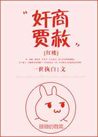 《奸商贾赦[红楼]》封面