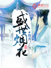 《盛世烟花》封面