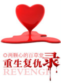 《重生复仇录》封面