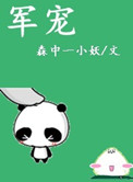 《军宠（军旅高干）》封面