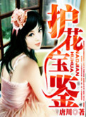 《护花宝鉴》封面