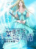 《重生之菜鸟法师》封面