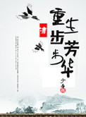 《重生步步芳华》封面