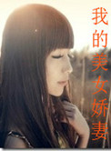 《我的美女娇妻》封面