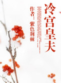 《冷宫皇夫》封面