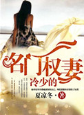 《冷少的名门权妻》封面
